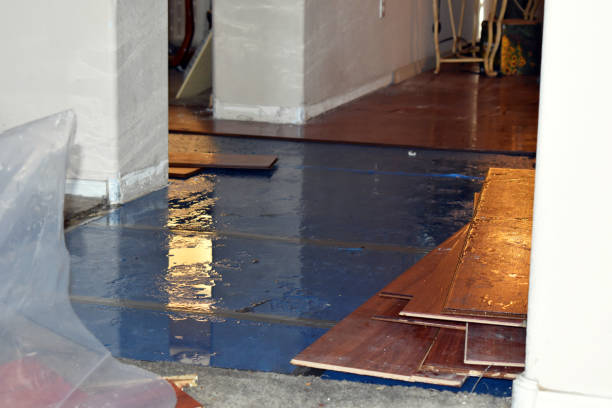 Professional Water Damage Restoration technician working in San Rafael, CA